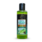 Amla shikhkai herbal